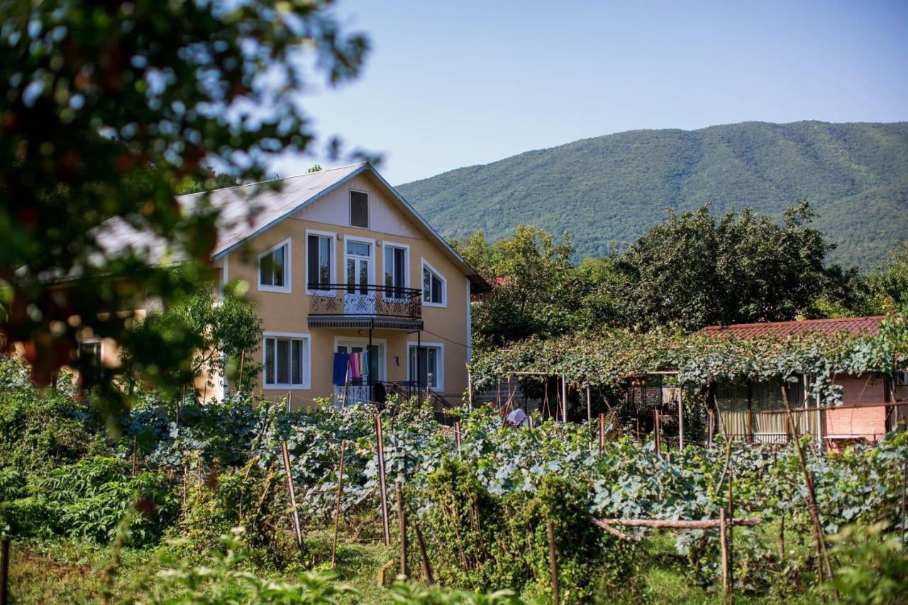 Hotel Qoqosa In Racha Ambrolauri Exterior foto